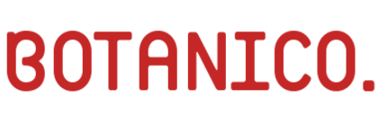 BOTANICO、DX・教育・人材領域でUI/UXデザインからマーケティング導線まで一貫支援 ― 各業界で成果を創出
