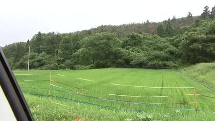 クマの親子3頭と遭遇　腹を引っかかれ77歳男性けが　スコップで反攻　岩手県