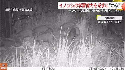 イノシシによる農作物被害1億7000万円超え　イノシシの学習能力を逆手に“わな”　地域安全と共存の取り組み