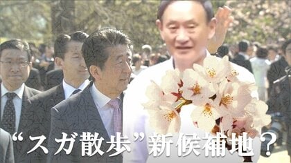 “官邸スガ散歩”に異変？菅首相の「飽き」で浮上した新候補地は“桜”で話題のあの公園