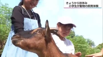 秋休みの小学生が飼育体験　フェニックス自然動物園で「動物園のオータムスクール」