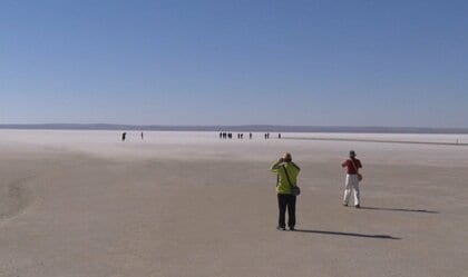 “天空の鏡”トルコの「トゥズ湖」でフラミンゴが大量死“違法井戸”で消失する湖も…少ない水で育つ麦やトウモロコシなどの開発目指す