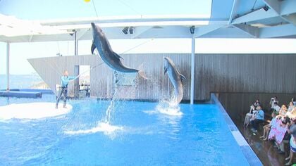 img_7847a1cafee7c9ce75c19ea5bd