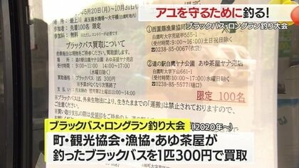 ブラックバスを釣って特産アユを守れ！ 釣ったブラックバスは組合が1匹