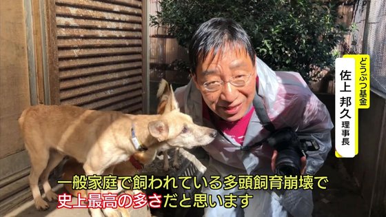 ひどいな 8畳2間に犬163匹がすし詰め 最大級 多頭飼育 崩壊の現場 子犬の譲渡始まる