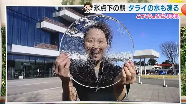 凍える朝 静岡市でも氷張る【静岡・ただいま天気 2/6】|FNNプライムオンライン