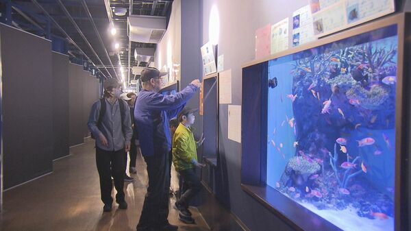 残りわずか！　1t樽　樽　水タンク　プール　生け簀　養殖とか　 鉄骨魚のいる池の養殖水タンクPVCスイミングプール,低価格鉄骨魚のいる