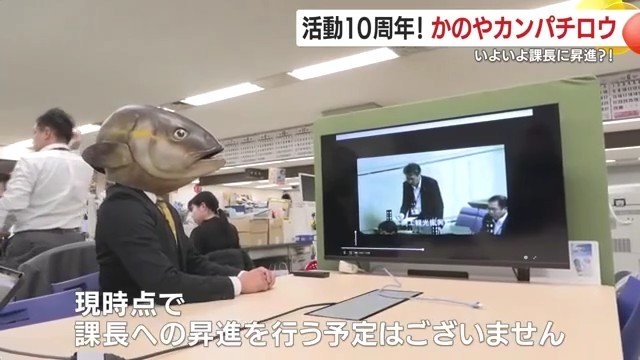 じっと議会中継を見守るカンパチロウ