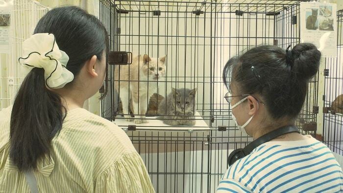 休日譲渡会
