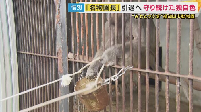 手作りのエサやり機