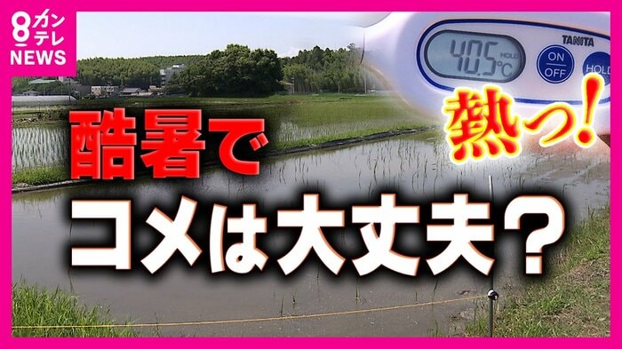 「うちのお風呂の温度やん」