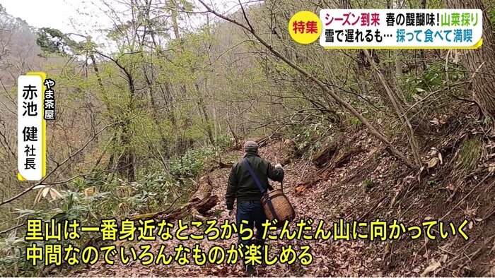 長野市郊外の里山
