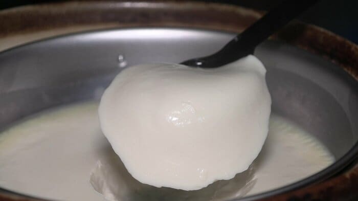 出来たての手作り豆腐