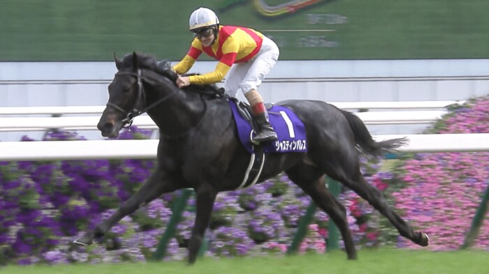 2023年 天皇賞(春)を制したルメール騎手とジャスティンパレス