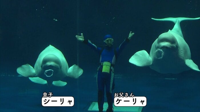 「バブルリング」のパフォーマンスを披露する「シーリャ」(左)と「ケーリャ」(右)