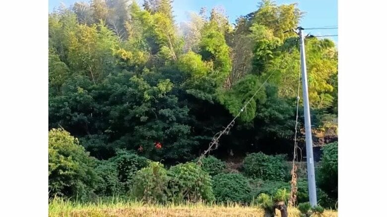【速報】松江市で山林火災相次ぐ…住宅の裏山で雑木林から火の手　猛暑と少雨の中で延焼に警戒（島根）｜FNNプライムオンライン