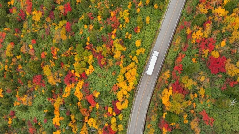 立山黒部アルペンルートの紅葉が見頃「この10年で最も鮮やかな色づき」、秋の絶景が広がる｜FNNプライムオンライン