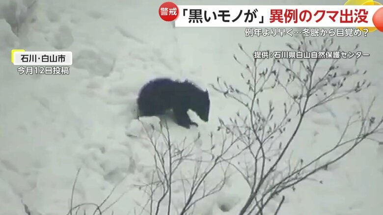 「冬眠期に異常な事態」早くもクマの出没相次ぐ 石川・岩手・北海道・関東でも 専門家「食料求め人里に下りる可能性も」|FNNプライムオンライン