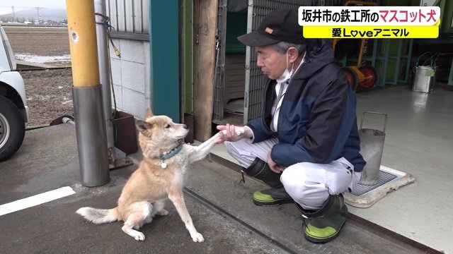 おて!