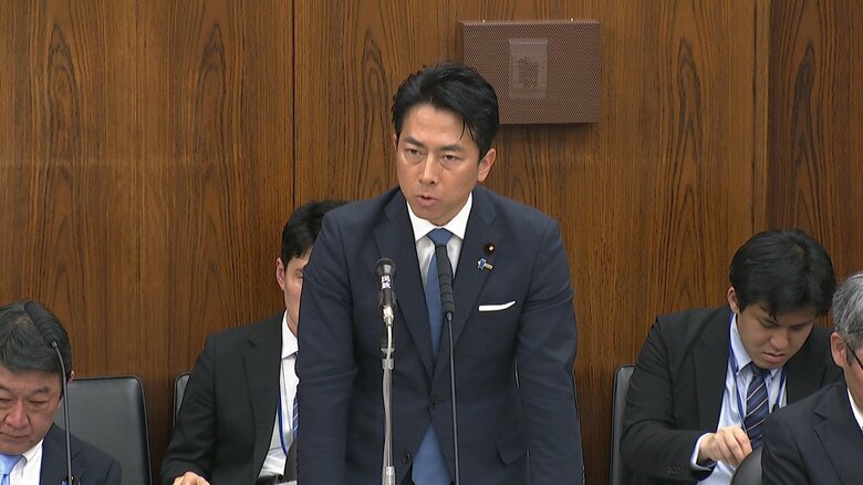 参院外交防衛委員会での答弁