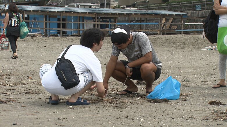 小さなゴミまで念入りに拾う参加者ら
