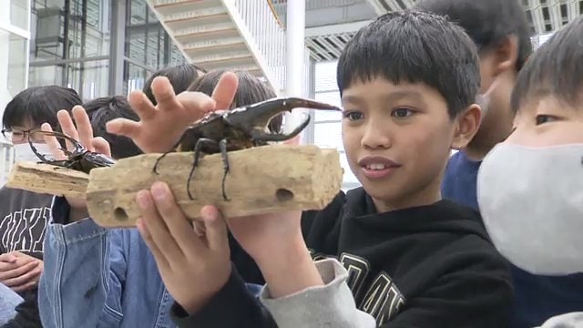 昆虫とのふれあいも