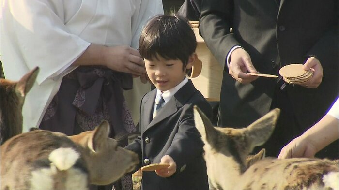 2012年11月　奈良公園でシカに餌を与えられる悠仁さま