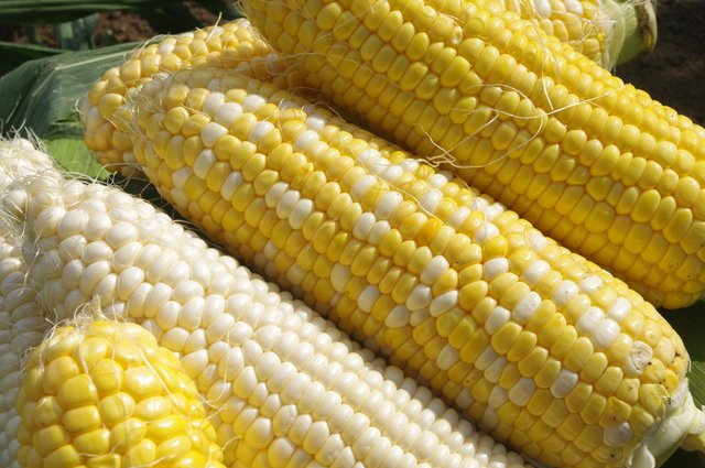 （画像はイメージ）