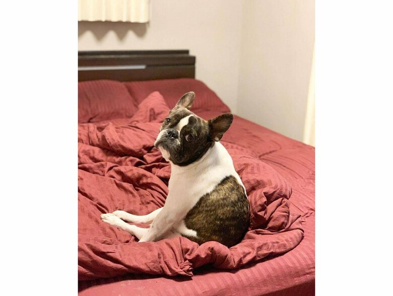 提供：丸男さん