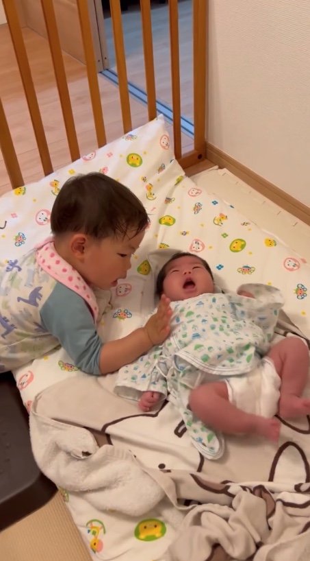 提供：＠zen_pokoさん