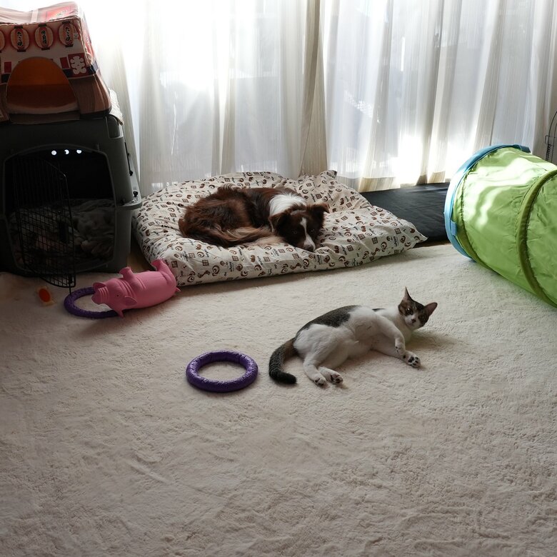 提供：ゆに＆メッシさん