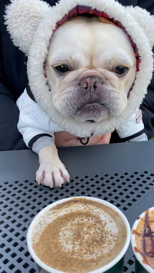 提供：むぎさん