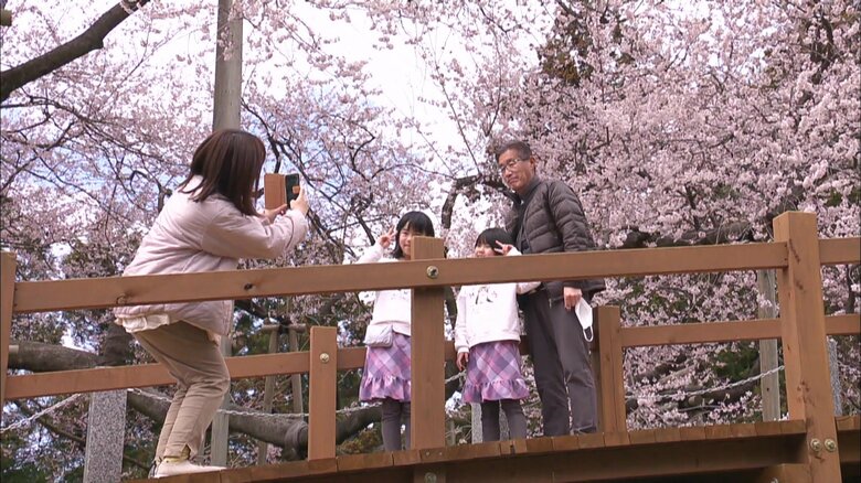 多くの人が撮影を楽しむ