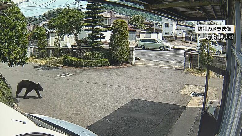 防犯カメラの映像（提供：視聴者）