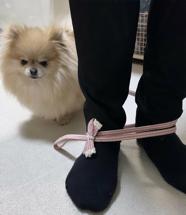 大はしゃぎしてリードを絡ませ、助けを求めている