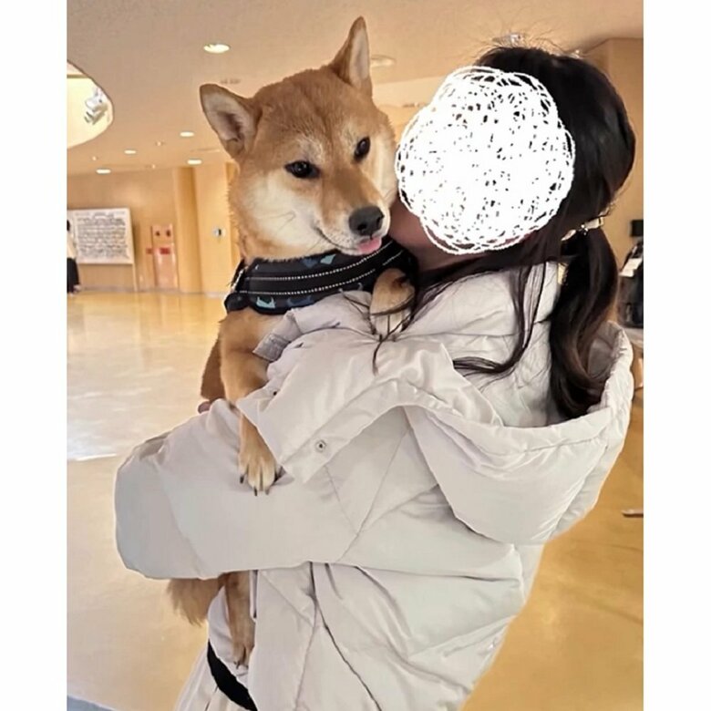 飼い主さんに抱っこしてもらうむぎちゃん