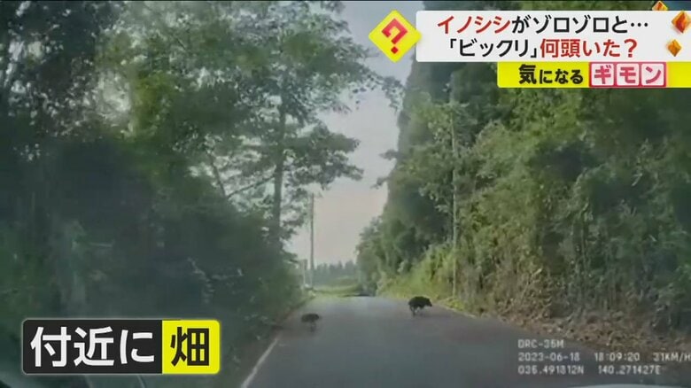 （FNN投稿サイト「ビデオPost」）