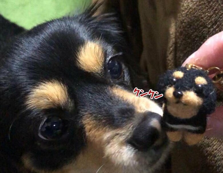 自分をモデルにしたフェルトとの一枚