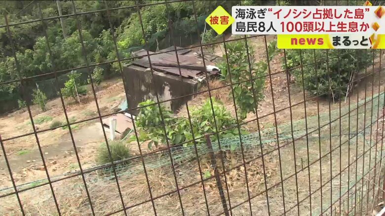 農作物を守るためにフェンスを設置するも、乗り越えられてしまうと言う