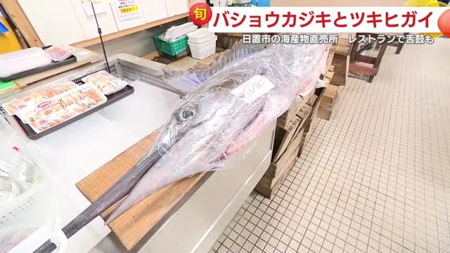 バショウカジキ