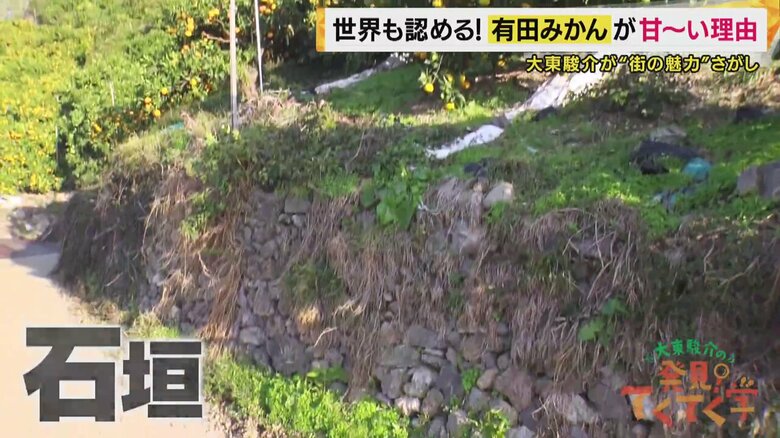 石垣のメリットはたくさん