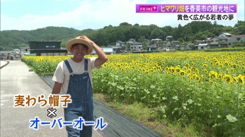 キャベツ農家の大峯悠聖さん