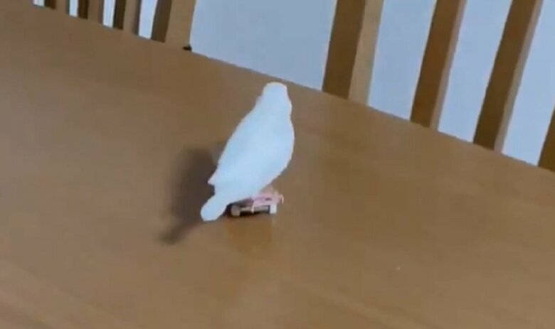 机の端へ去っていく姿