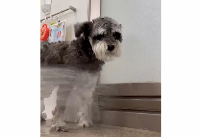 シャワーの様子（提供：くぅさん）