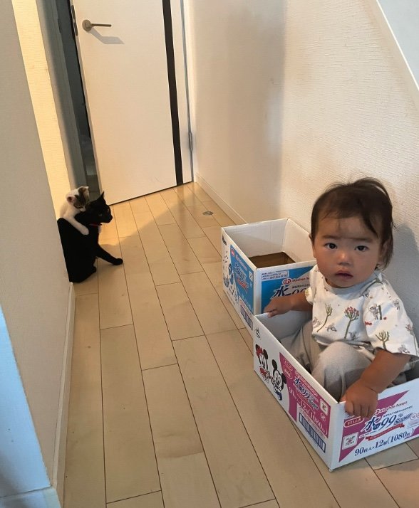 提供：ゴンゾウR4さん