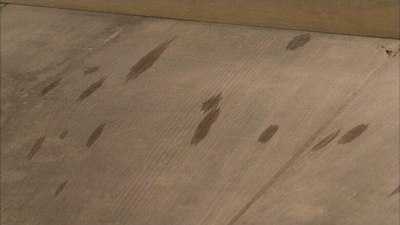 彌彦神社（2015年）