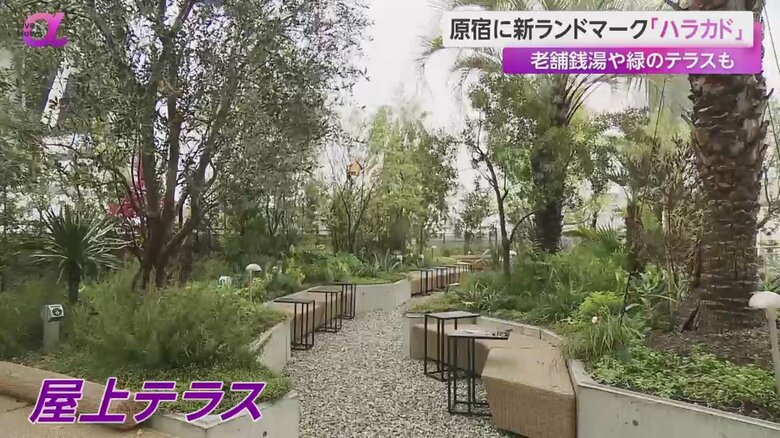 緑に囲まれて原宿を見下ろすことができる「ハラカド」の屋上テラス