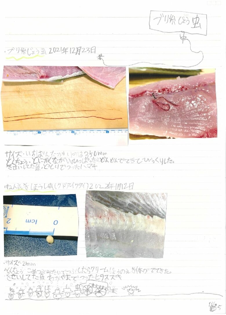 5ペ－ジ目（ぼくが見つけたきせい虫について）