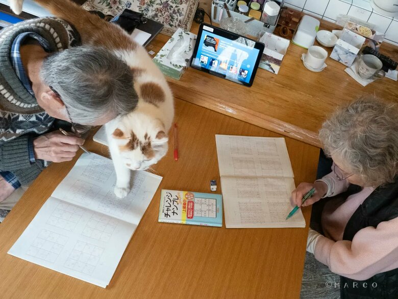 お父さんには邪魔をする（提供：MARCOさん）