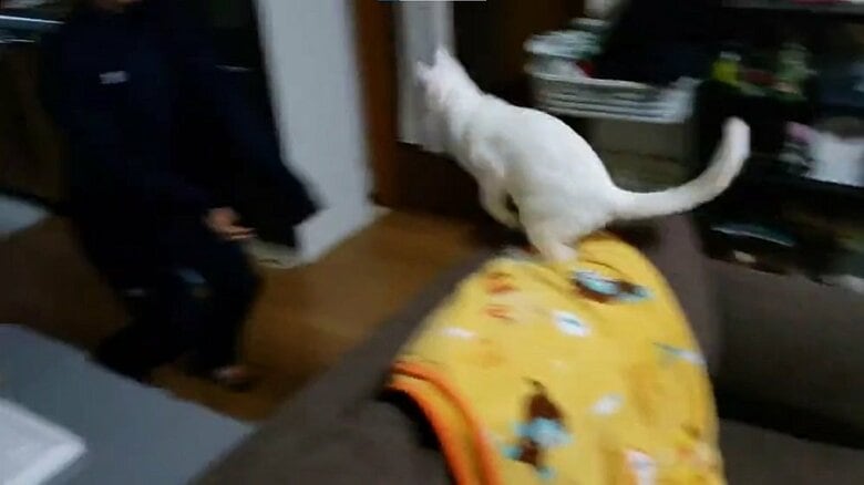 2段目を跳んで